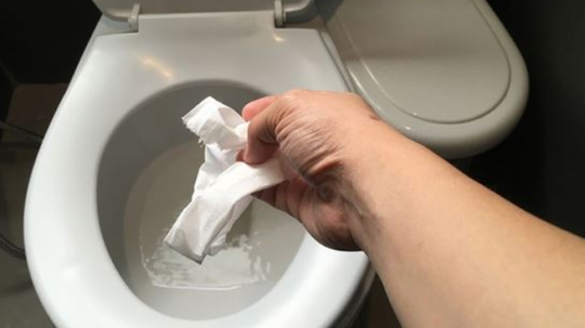 Những Lý Do Không Bỏ Giấy Vào Bồn Cầu Và Cách Khắc Phục Khi Bồn Cầu Bị Nghẽn Do Giấy