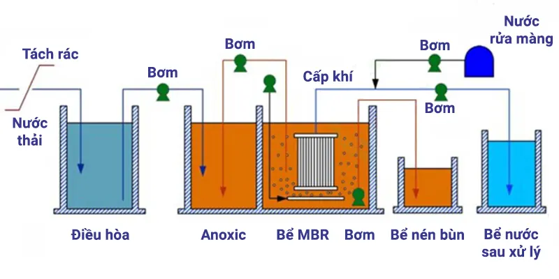 Lợi Ích Của Bể Hiếu Khí Và Cách Nuôi Vi Sinh Bể Hiếu Khí