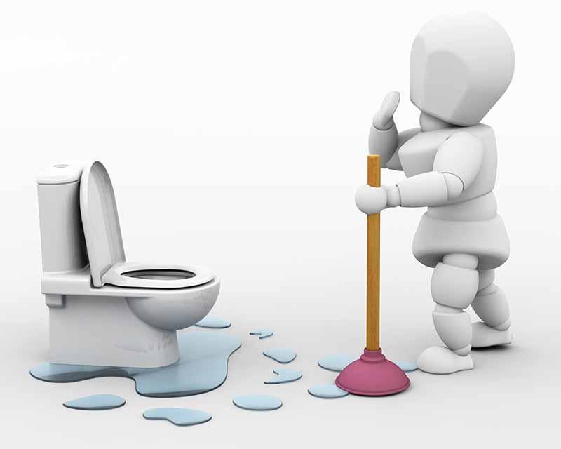 Nguy Cơ Ẩn Sau Tác Động Của Nước Thải Từ Hầm Cầu