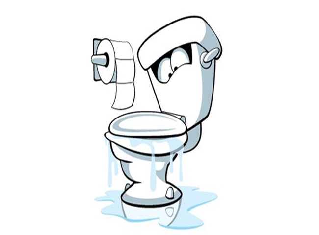 Nguy Cơ Ẩn Sau Tác Động Của Nước Thải Từ Hầm Cầu