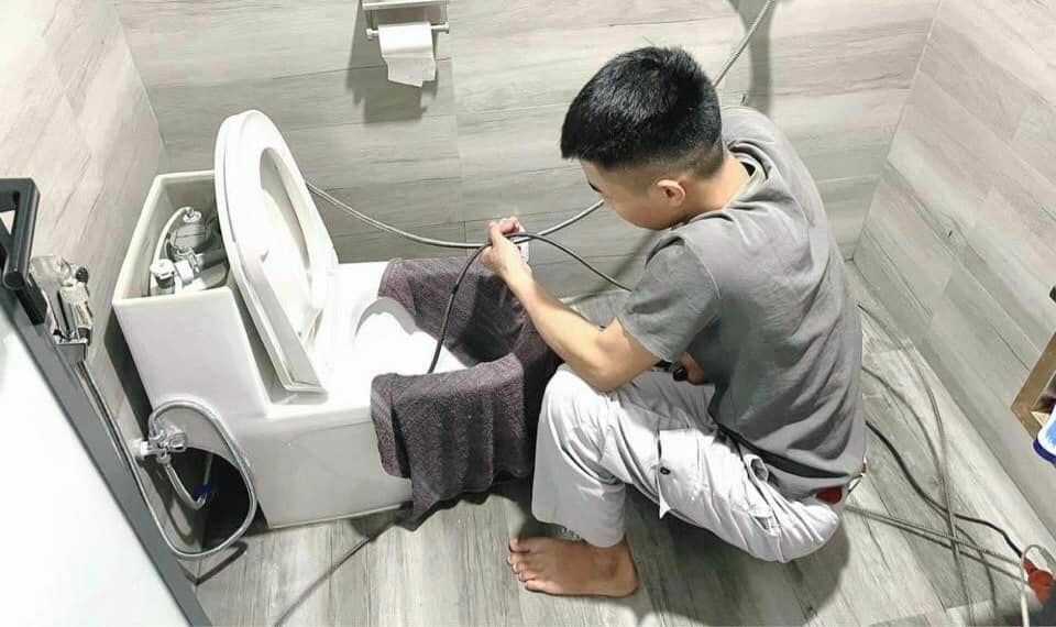 Thông bồn cầu Đà Lạt